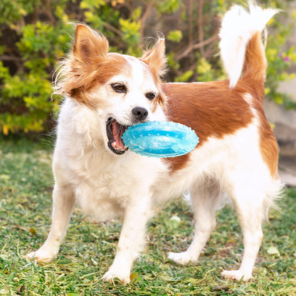Juguete Mordedor 2 en 1 Congelable para Perros Glubiz InnovaGoods – Refrescante y Dental