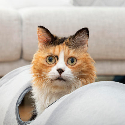 Túnel Plegable para Gatos Funnyl InnovaGoods – Juguete Interactivo y Refugio Multifunción