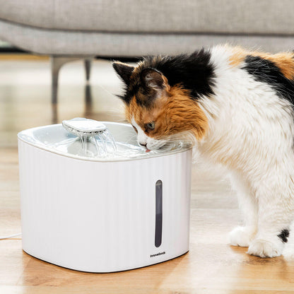Fuente de Agua para Mascotas Drinkatt InnovaGoods 3 L – Silenciosa, Filtrada y Automática