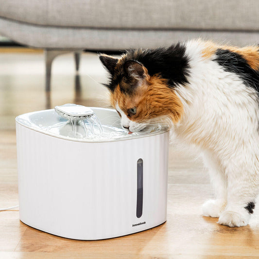 Fuente de Agua para Mascotas Drinkatt InnovaGoods 3 L – Silenciosa, Filtrada y Automática