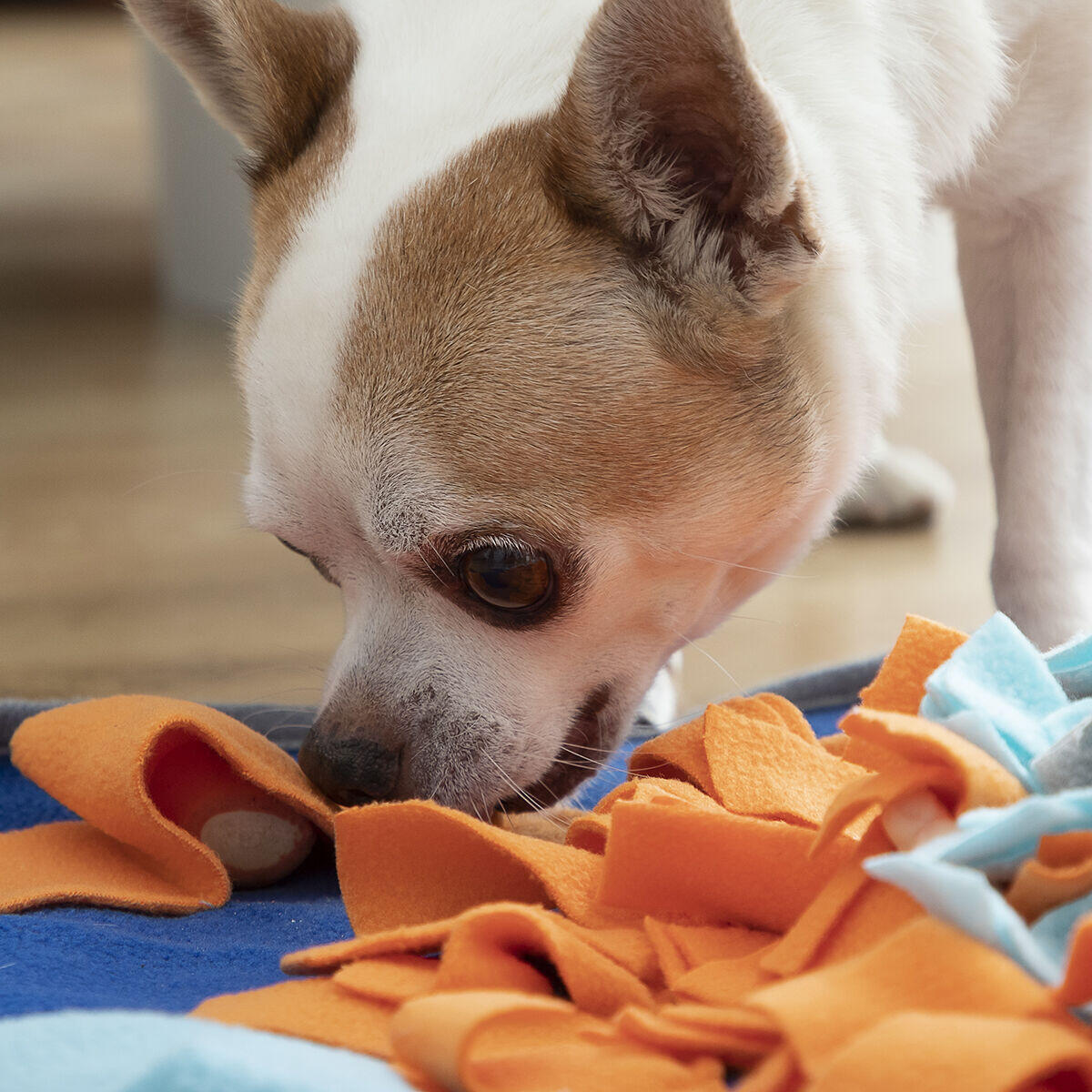 Alfombra Olfativa para Mascotas Fooland InnovaGoods – Entrenamiento, Antiestrés y Alimentación Lenta