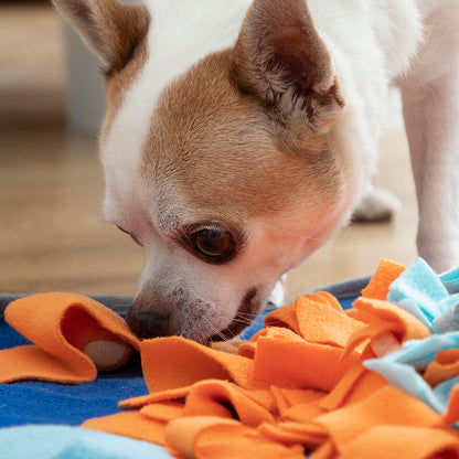 Alfombra Olfativa para Mascotas Fooland InnovaGoods – Entrenamiento, Antiestrés y Alimentación Lenta