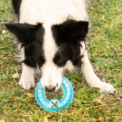 Juguete Mordedor 2 en 1 Congelable para Perros Glubiz InnovaGoods – Refrescante y Dental