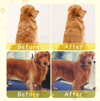 Cepillo de Vapor para Mascotas | Limpieza, Masaje y Eliminación de Pelaje 4 en 1