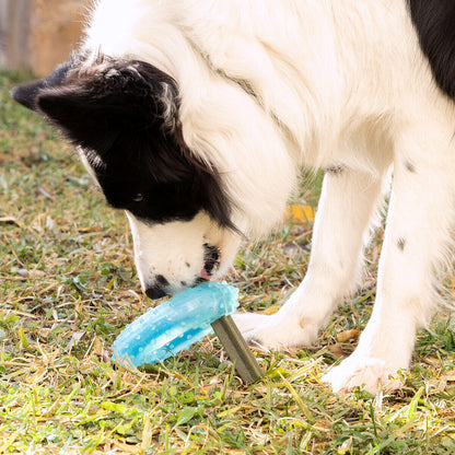 Juguete Mordedor 2 en 1 Congelable para Perros Glubiz InnovaGoods – Refrescante y Dental