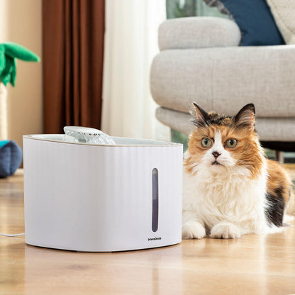 Fuente de Agua para Mascotas Drinkatt InnovaGoods 3 L – Silenciosa, Filtrada y Automática