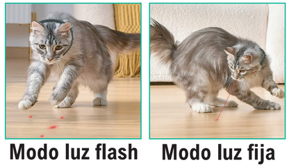 Collar Láser para Gatos | Juguete Interactivo Recargable y Seguro