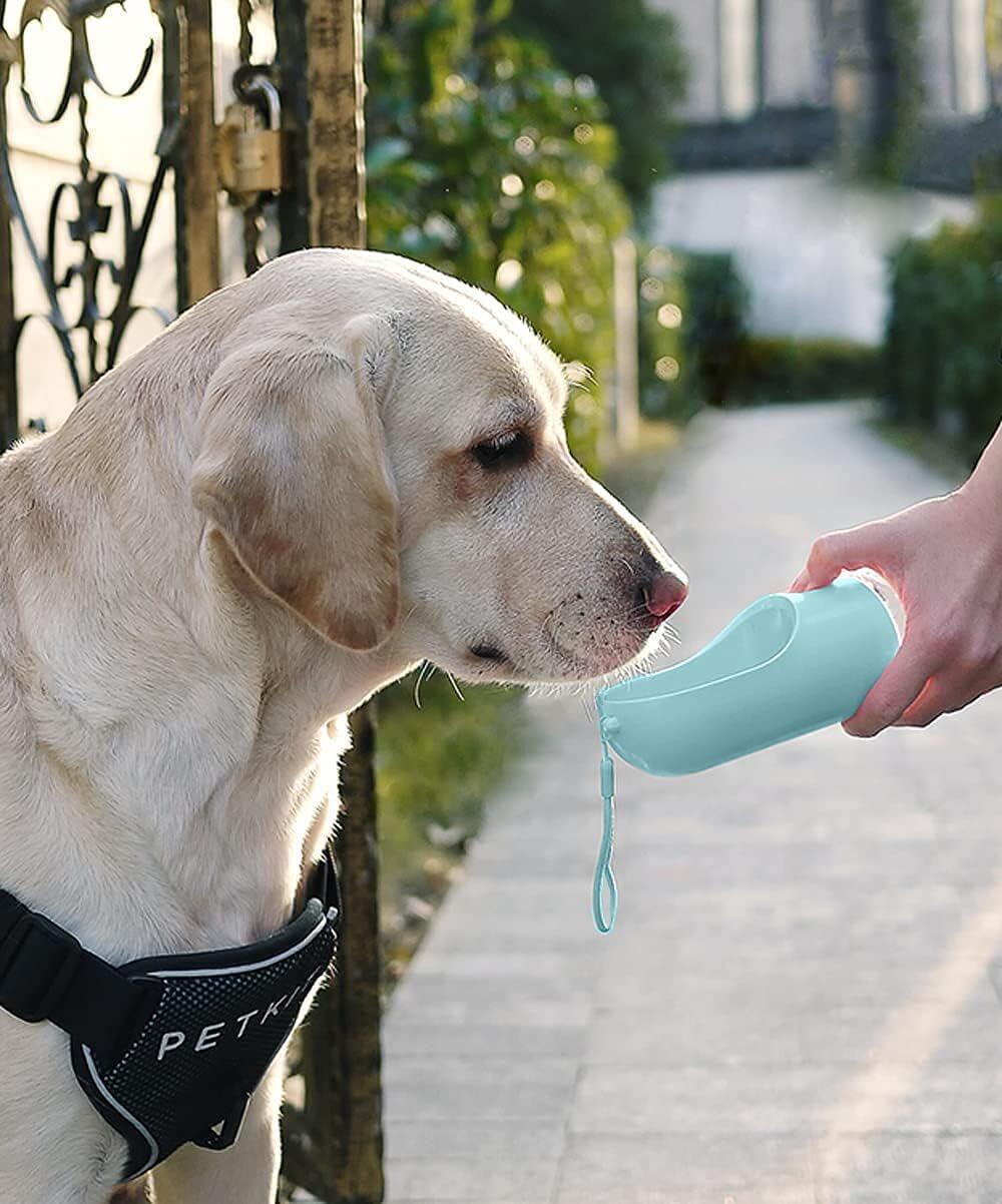 Bebedero Portátil para Mascotas 380 ml con Filtro – Botella Antifugas para Paseos y Viajes