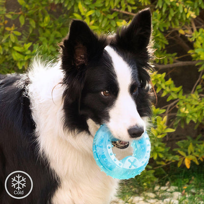 Juguete Mordedor 2 en 1 Congelable para Perros Glubiz InnovaGoods – Refrescante y Dental