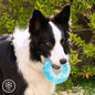 Juguete Mordedor 2 en 1 Congelable para Perros Glubiz InnovaGoods – Refrescante y Dental