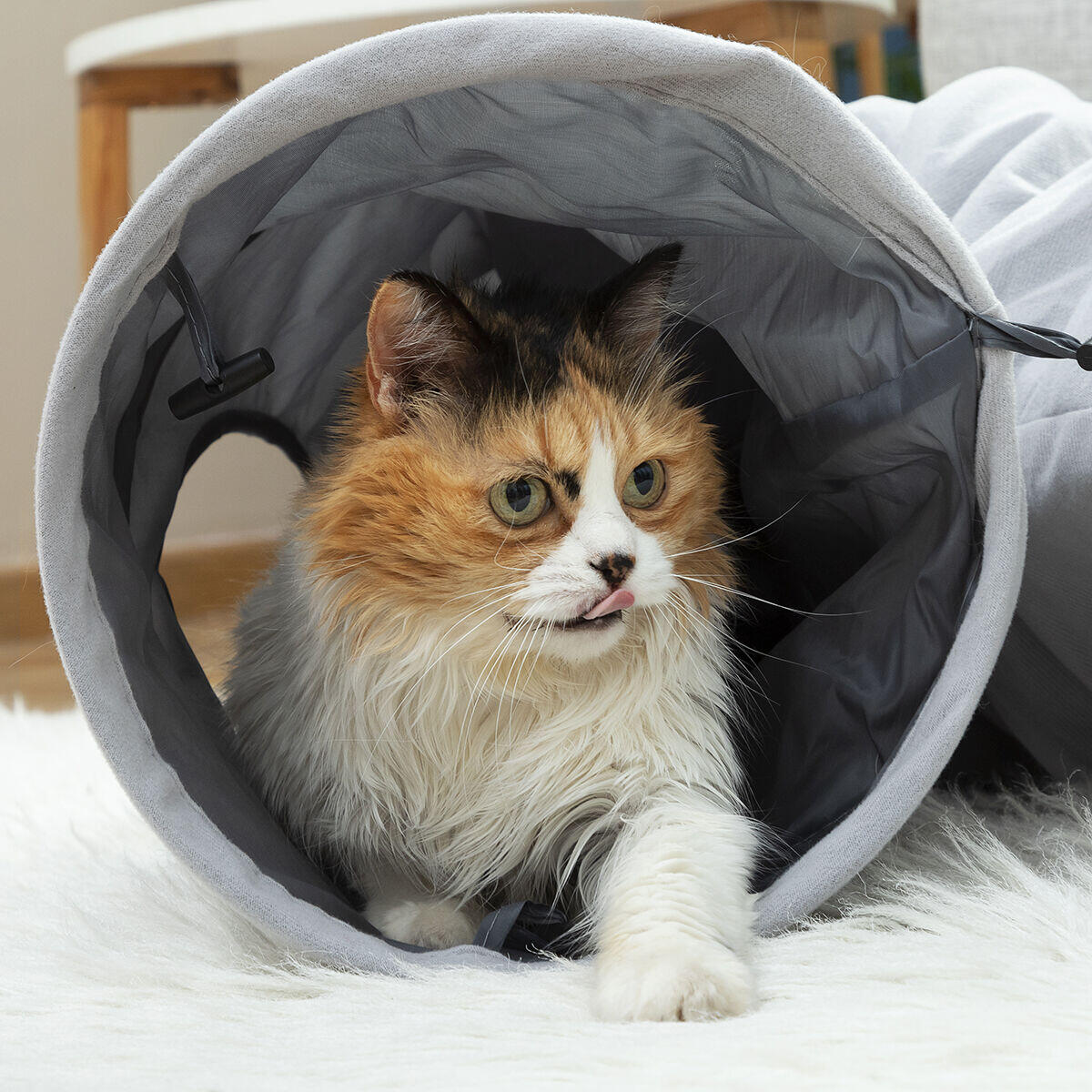 Túnel Plegable para Gatos Funnyl InnovaGoods – Juguete Interactivo y Refugio Multifunción