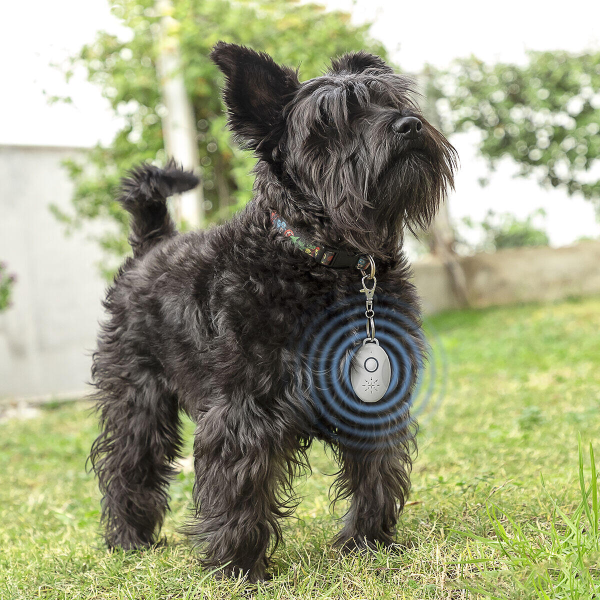 Antiparásitos Ultrasónicos Recargable para Mascotas – PetRep InnovaGoods, Seguro y Sin Químicos