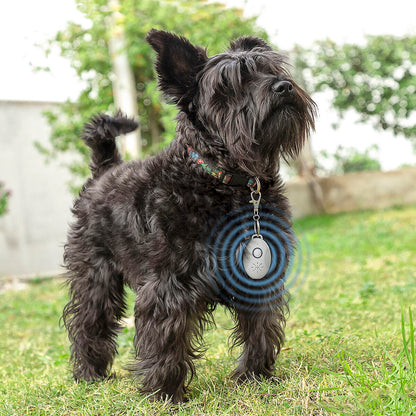 Antiparásitos Ultrasónicos Recargable para Mascotas – PetRep InnovaGoods, Seguro y Sin Químicos