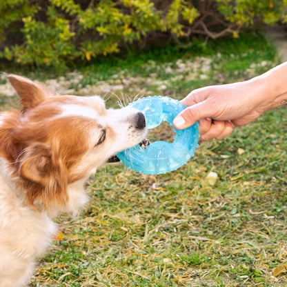 Juguete Mordedor 2 en 1 Congelable para Perros Glubiz InnovaGoods – Refrescante y Dental