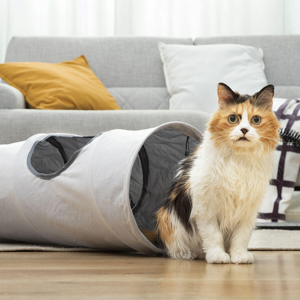 Túnel Plegable para Gatos Funnyl InnovaGoods – Juguete Interactivo y Refugio Multifunción