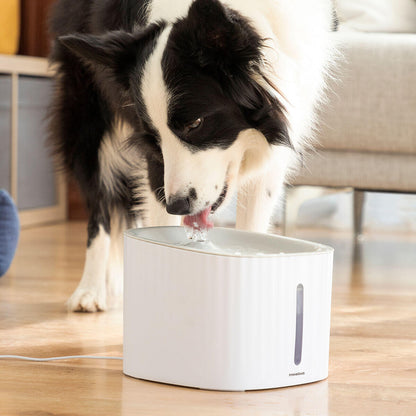 Fuente de Agua para Mascotas Drinkatt InnovaGoods 3 L – Silenciosa, Filtrada y Automática