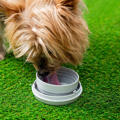 Correa Retráctil para Perros 6 en 1 Leashic InnovaGoods | Multifunción y Extensible